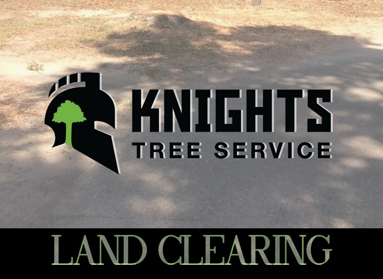 land clearing service in Pace