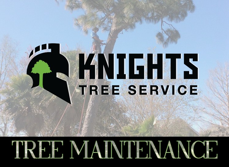 Knights Tree Service provides tree maintenance to Northwest Florida.