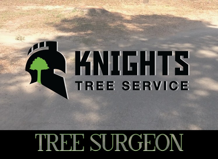 Tree Surgeon in Escambia & Santa Rosa Counties