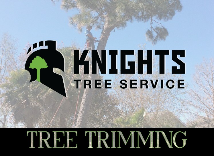 Tree Trimming Services in Pensacola & Surrounding Areas